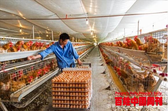 新疆某养殖场面临环保关停禁养，一纸诉状撤销《禁养通知书》