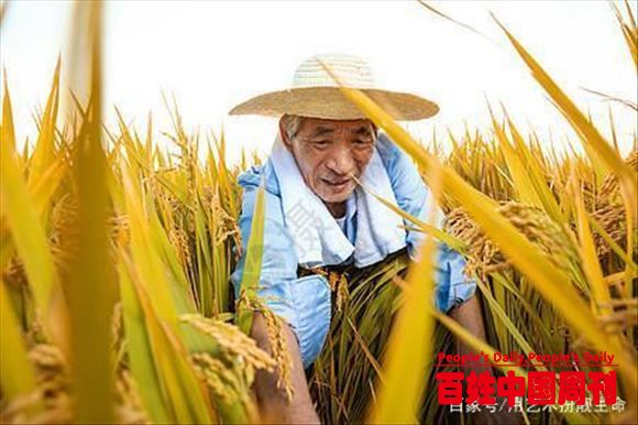 农民们迎来利好消息，玉米，大豆供不应求，全球开启抢农作物大战