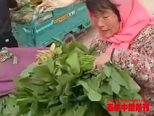 菜农1300斤菠菜只卖15元，消费者却说价高吃不起，到底哪出了问题