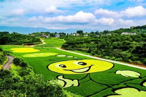 河南：让乡村宜居又宜业
