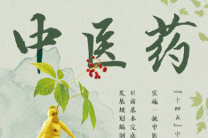 “十四五”中医药发展规划编制工作已基本完成