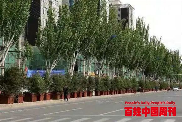 中国青年报客户端：谁给了官员“拍脑袋”造绿的权力