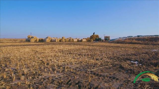 中国环境报 ：一根稻草如何实现生态循环？