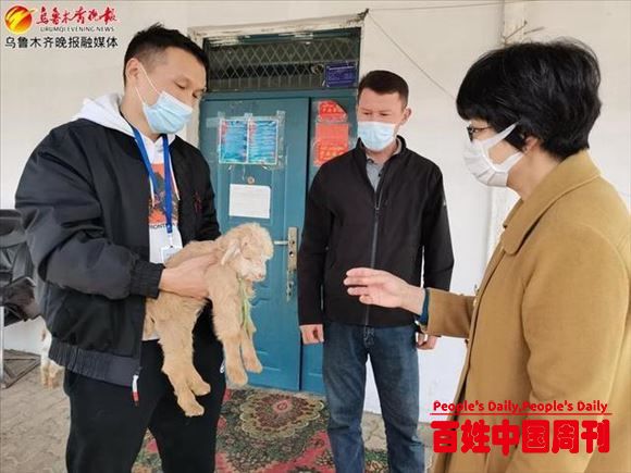 乌鲁木齐市水磨沟区养殖课堂搬进牛羊圈舍里