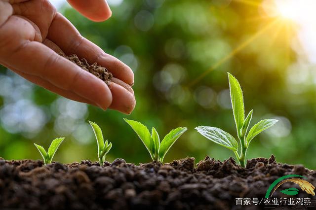 中国有机肥：千亿产值，政策持续发力，即将迎来黎明
