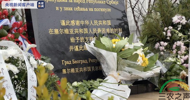 清明祭英烈 我国驻外使馆人员深切缅怀烈士