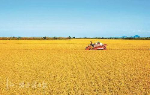 国储局：“十四五”将实现政府储备粮食的绿色仓储全覆盖