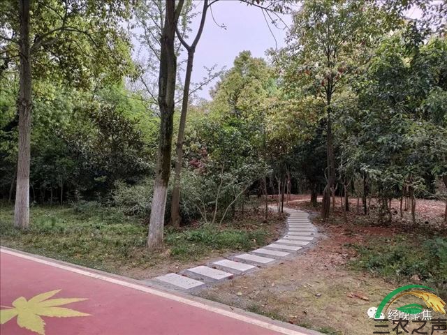 为民办实事：江西宜春袁山公园新增游步道