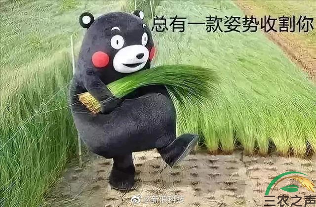 半月谈：愿天下无“韭菜”，政府应该进一步完善管理