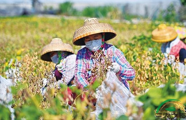 国家粮食和物资储备局：“十四五”时期将推进“数字粮储”建设