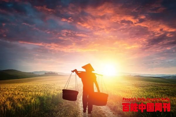农村老人为什么“闲不住”？也许是因为这些……