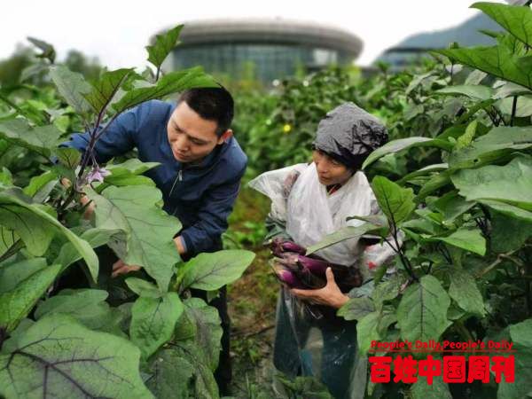 你们长眠，我们常念——新华社记者追忆扶贫英烈