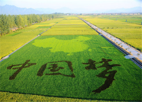 农业农村部开展全国休闲农业重点县建设