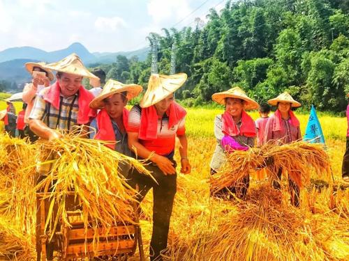 “粮食安全党政同责”首次进入我国法规