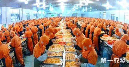 农产品加工“黑科技”，就在你吃的粮肉果蔬中