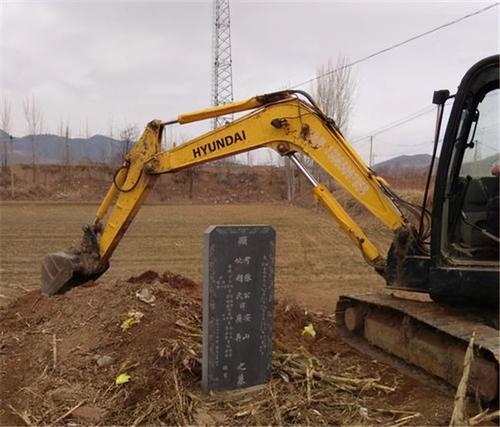 祖坟变为甘蔗地，莫让强制平坟伤了民心