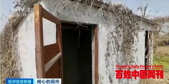 央视曝农村改造厕所轻轻一踩就碎了！村民：政府的补贴没有领到过