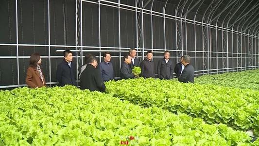 天津“十四五”将建百万亩设施农业