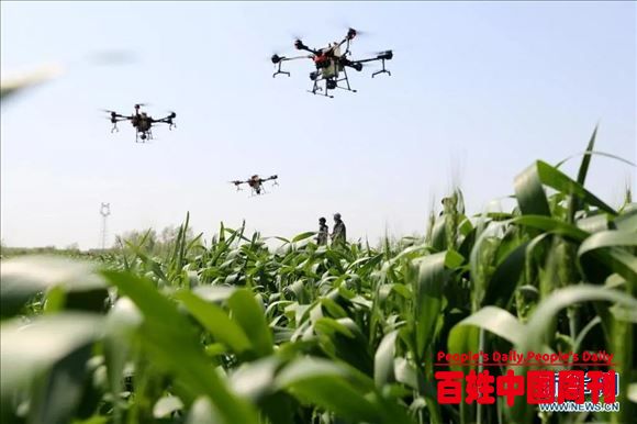 全国各地：最美四月天，春耕春种忙！