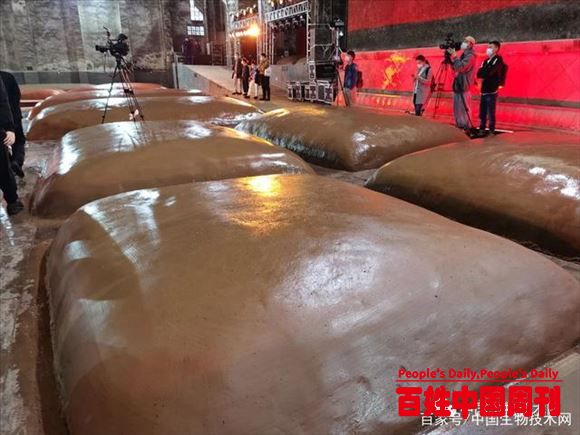传统酿造食品与多种微生物协同发酵是人类文明共有的文化传承
