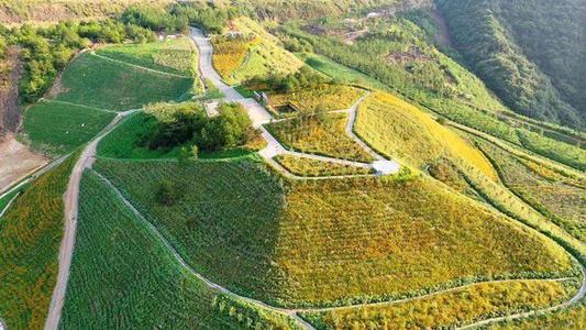 自然资源部首次公布补充耕地项目与地块信息 首批1200个项目已挂网