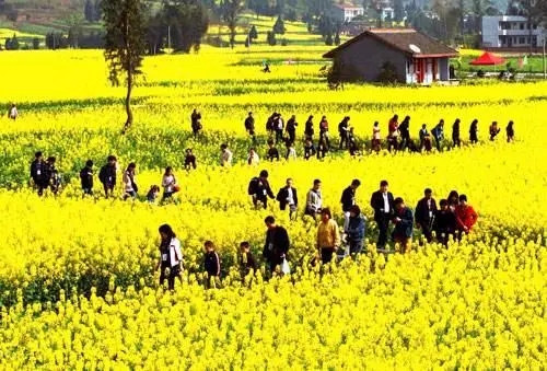 发展特色农业 带动乡村旅游