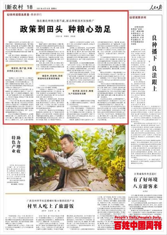 政策到田头 种粮心劲足（田间追踪高质量·春耕探行）