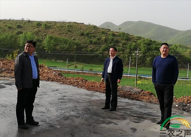 河南内乡桃溪镇：多措并举提升生态环境质量
