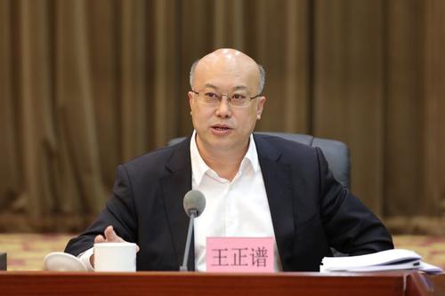 如何推动乡村振兴？国家乡村振兴局局长王正谱权威回应