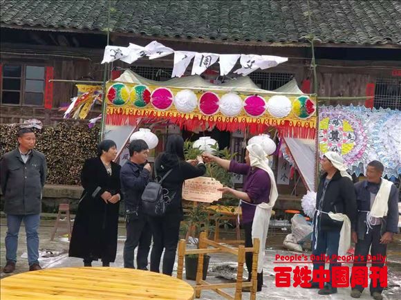 湖南芷江禾梨坳：在全乡范围内推行侗族树葬改革这一“新葬法”
