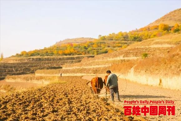 为挣钱农民“抛荒”未来14亿人无粮可吃咋办？官方提出3点办法