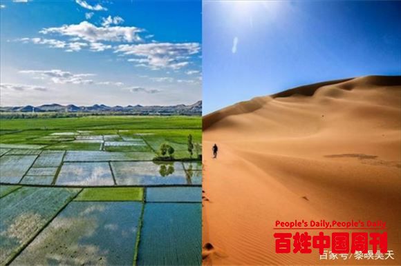 中国小伙沙漠种出万亩水稻，并拿下三亿投资，被称为第二个袁隆平