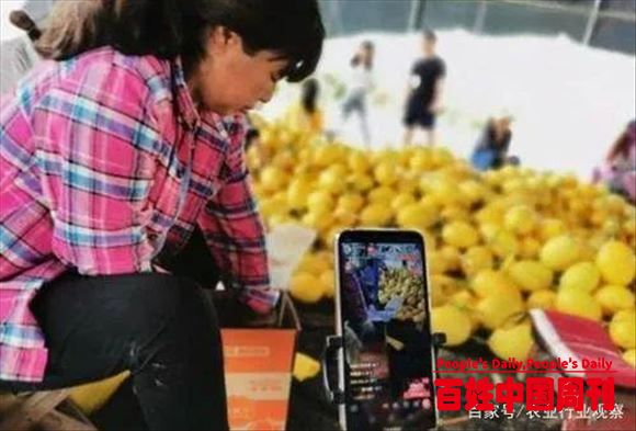 农产品直播终极目标:卖货是其次,背书才是正道
