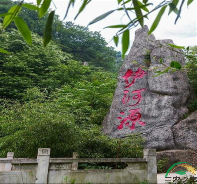 一山一水一天书  四祖一后栾川出