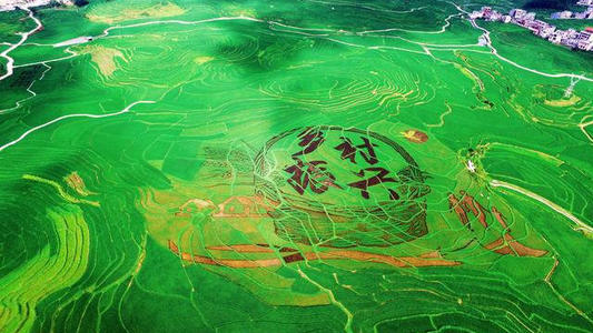 国开行今年将发放4000亿元贷款服务乡村振兴