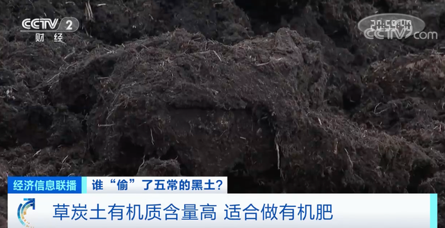 尚志市：巧借打击泥炭黑土行动掩盖失职，纪检监察部门应责任10年倒查