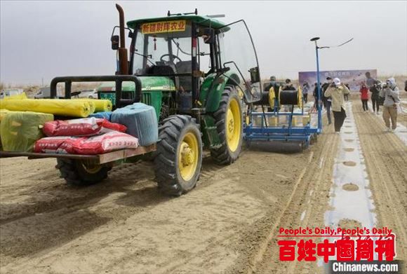 新疆两名“90后”挑战管理3000亩棉田 亩产要达300公斤