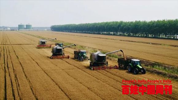 在这个农场中德合作已培养出上万“双元”新型职业农民