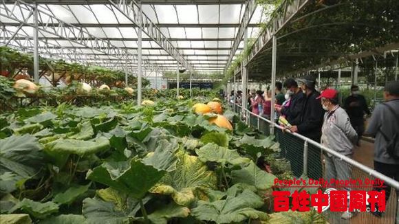 科技盛会！一大批先进农业技术、装备亮相菜博会