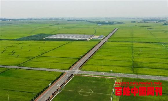 粮食生产的命根子如何保？——农业农村部有关司局负责人谈耕地保护热点话题