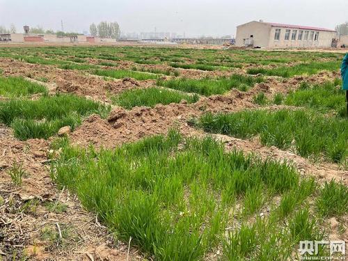 因耕地“非农化”等问题突出 20个地区被约谈