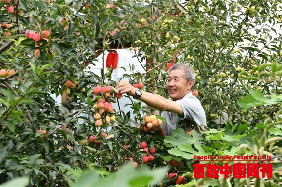 熊定国：乡村振兴如何让农民真正受益