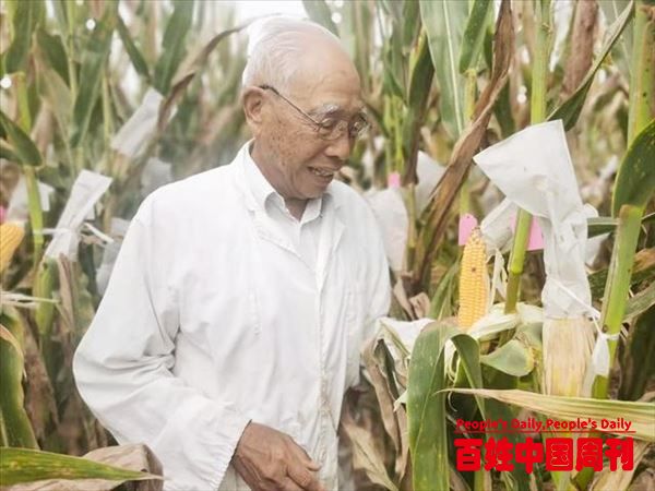 南繁硅谷变身：从育种“加速器”到国际化引进中转基地