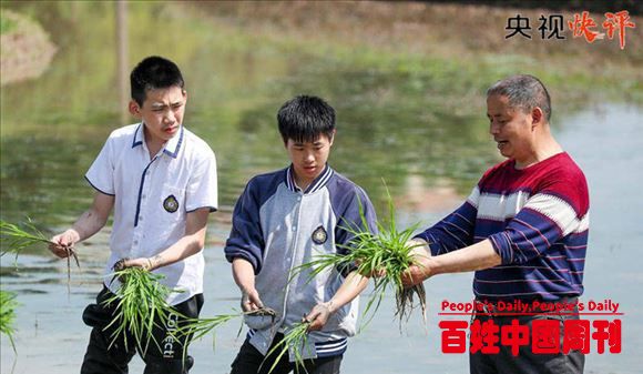 央视快评：劳动创造幸福 实干成就伟业