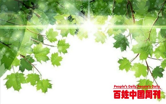 蔡顺利：绿叶礼赞