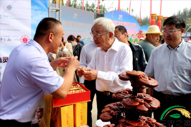 千年守得灵芝开——记冠县灵芝产业联合会会长、山东三秀生物科技总经理曹子英