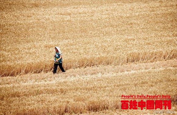 土地，才是农民最大的资本！破局农村困境首先是利用好土地