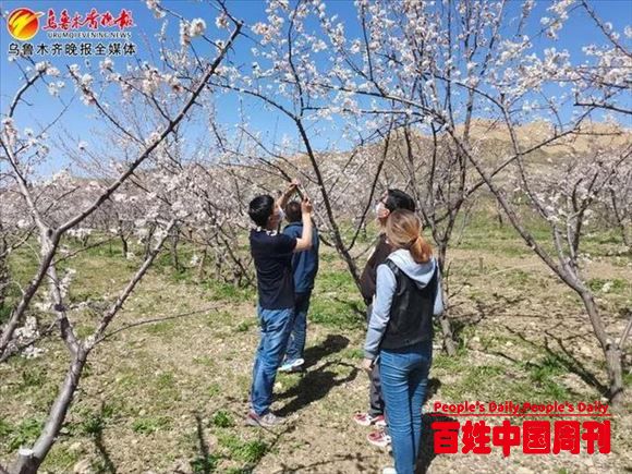 新疆乌鲁木齐：看画里乡村 见悠然南山