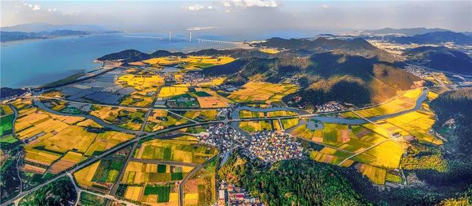 促进乡村振兴 农民何权？政府何责？专家详解《乡村振兴促进法》