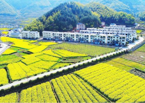 2020年度福建省实施乡村振兴战略实绩考核结果出炉